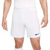 Nike Dri-fit Park 3 Shorts