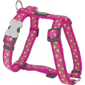 Red Dingo Stars Lime On Hot Hundesele
