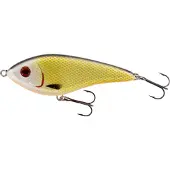 Westin Swim Glidebait 8cm 19g Sinking Official Roach