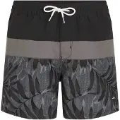 O'Neill Cali Block 15'' Boardshorts svart