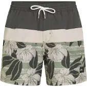 O'Neill Cali Block 15'' Boardshorts grønn