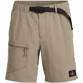 The Mountain Studio Field Shorts