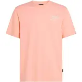 O'Neill Box Logo Kortarmet T-skjorte