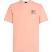 O'Neill Retro Graphic T-skjorte rosa