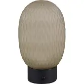 TRIO LED-bordlampe Facette, grønn, USB, glass,