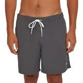 O'Neill Vert 16'' Boardshorts grå