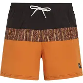 O'Neill Cali Block 15'' Boardshorts oransj