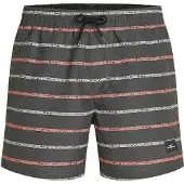 O'Neill Cali First 15'' Boardshorts grå