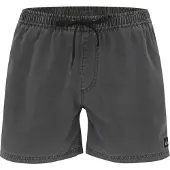 Quiksilver Everyday Surfwash Volley 15 Boardshorts svart