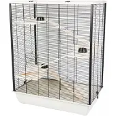 INTER ZOO Diego + Trebur For Hamster