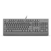 Lenovo Idg Preferred Pro Ii 4y41r64616 Tastatur