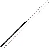 Westin W4 Powershad-t 2nd Baitcastingstang