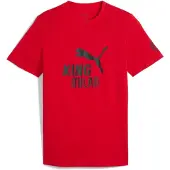Puma AC Milan KING Logo Tee Men, Sport, Red/Black, XS
