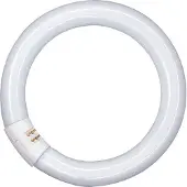 Osram G10q 22W 865 Lumilux T9C sirkellysrør