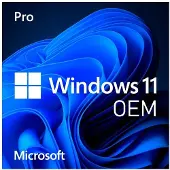Microsoft Windows 11 Home - Lisens - 1 lisens - OEM - DVD - 64-bit - Engelsk