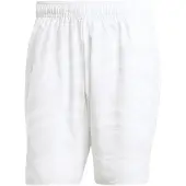 Adidas Club Graphic 7´´ Shorts
