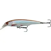 Savage Gear SG Gravity Twitch SR 6,7 cm Roach