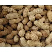 Hobby First Peanuts with shell 10 kg