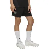 Puma Manchester City Training Shorts Youth, Clothing, Black/Silver, 15-16Y