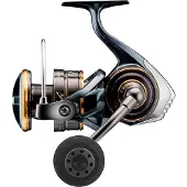Daiwa Caldia Sw 2023 Fiske Spinnehjul