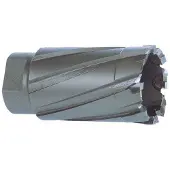RUKO 108019 Cm2/cm3 Ø 19 Mm Hulborkrone