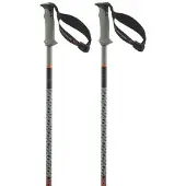 Salomon Polar Pro S3 Spaserstokker