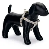 Designed By Lotte Oribo Hundesele