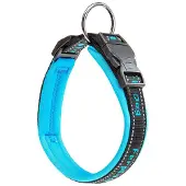 Ferplast Sport 25 Mm 65 Cm Hundehalsbånd