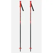 Rossignol Hero Junior Staver