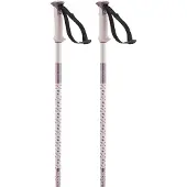 Salomon Polar Spaserstokker