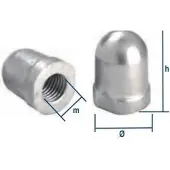 Tecnoseal Renault Couach Akselmutter
