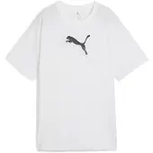 Puma Evostripe Graphic Relaxed Fit Kortarmet T-skjorte