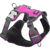 Red Dingo Acolchado Hundesele