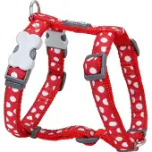Red Dingo Style Moles Hundesele