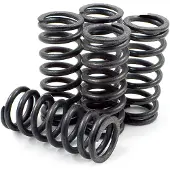 Dp Brakes Hds143-5 Honda Crf Clutchfjærsett 5 Enheter