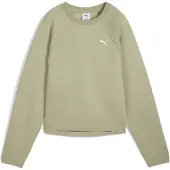 Puma Evostripe Comfort Short Collegegenser