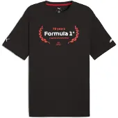 Puma F1 Essentials Graphic Tee Men, Clothing, Black, XL