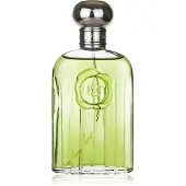 Giorgio Beverly Hills Giorgio for Men edt 118ml