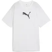 Puma Evostripe Graphic Relaxed Fit Kortarmet T-skjorte