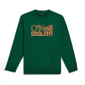 O'Neill Essentials Collegegenser