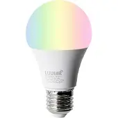 QAZQA Smart utendørs vegglampe antrasitt inkl. WiFi A60 - Emmerald
