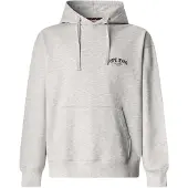 Pepe Jeans for man. PM5800022 Sweatshirt Mason grey (S), Casual, Cotton