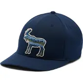 Columbia Lost Lager Cap