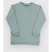 Blue Tomato Mini Logo Crew Kids Genser grønn