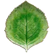 Costa Nova Plate hydrangea Riviera 22 x 19 cm Green/Black Ceramic