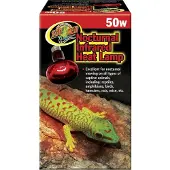 Reptilia Rødt Infrarødt Varmelys