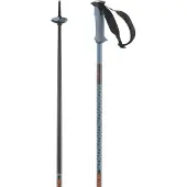 Salomon Polar Pro Spaserstokker