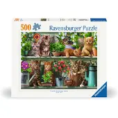 Ravensburger Puslespill - 500 Brikker - Katter på hyllen - - OneSize - Puslespill