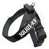 JULIUS K-9 Idc Mini Norwegian Hundesele