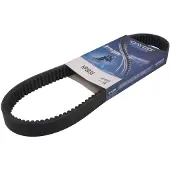 DAYCO Hp3038 Transmisjonsrem